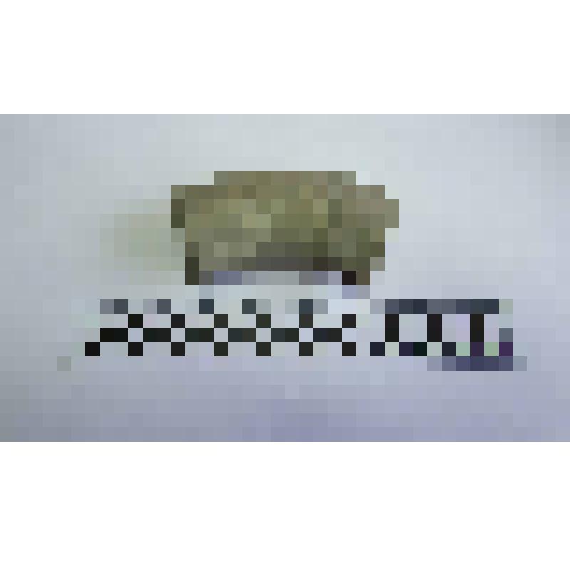 Ручка амфоры типа Зеест 83