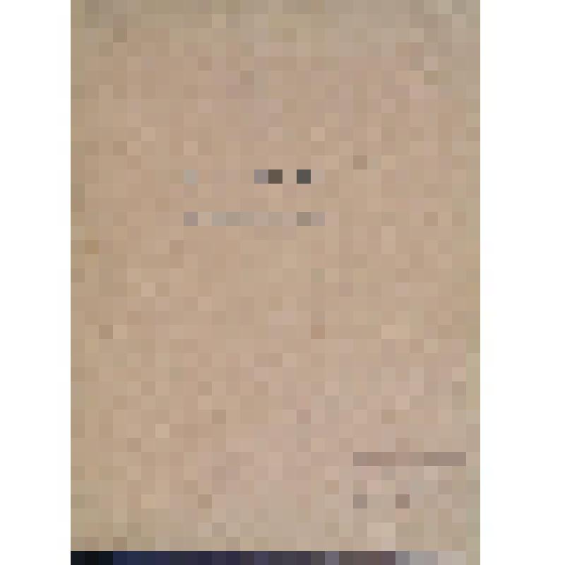 Книга. Максимилиан Волошин, М.С. Сарьян. Отдельный оттиск «Аполлона». С.-Петербург. Товарищество Р. Голикс и А. Вильборг.  [1913]. 21 стр