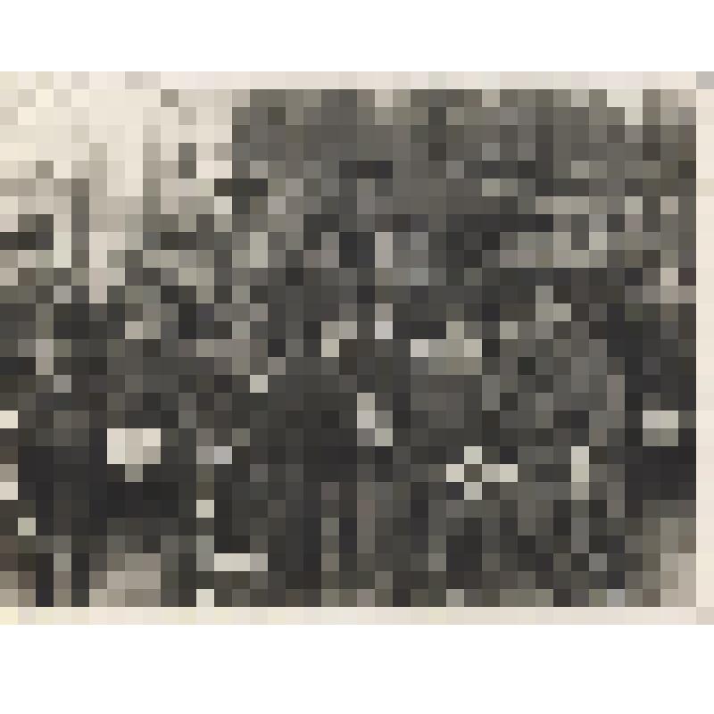 Фотография. Еремеев В.Л. (3-й справа в 1-м ряду) среди военных на учебных сборах