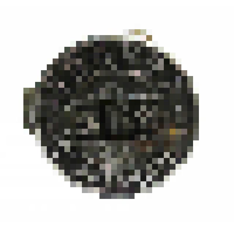 Штемпель спецгашения переводной «Спартакиада», Москва, 11-24.08.1928