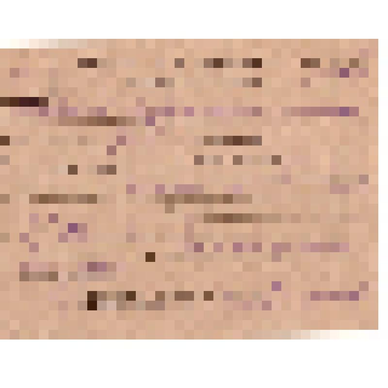 Документ "Учетная карточка на мобилизованного Кожвинским РВК в Красную Армию Шобаева Мустахима Мухамедовича, 1942 г. "