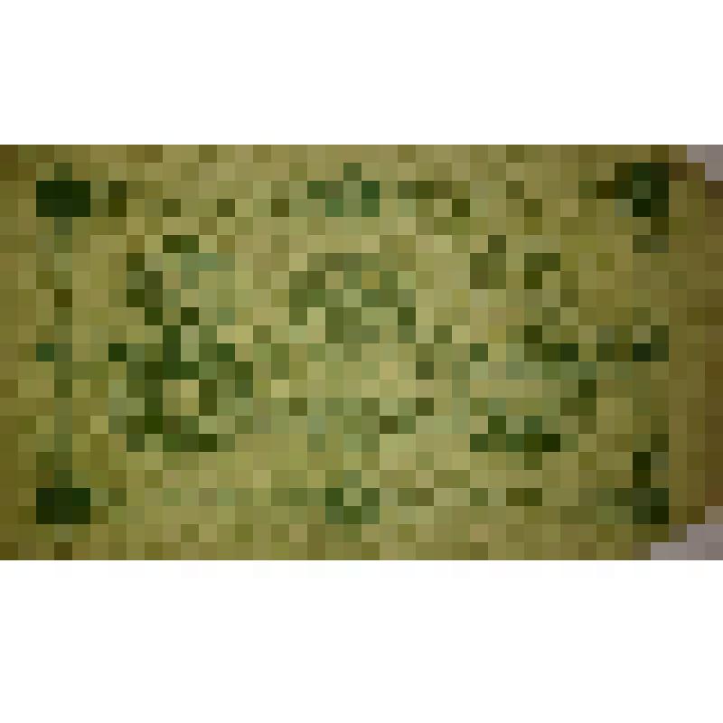 Государственный кредитный билет РСФСР образца 1918 г. Номинал 3 рубля