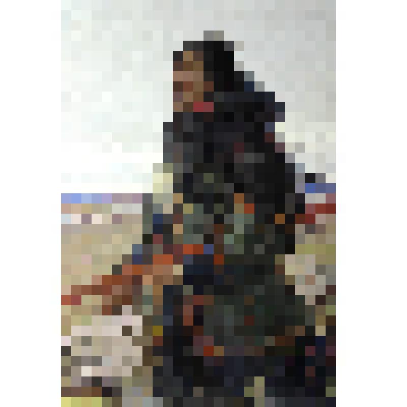 Картина "Таисья Тайборей"