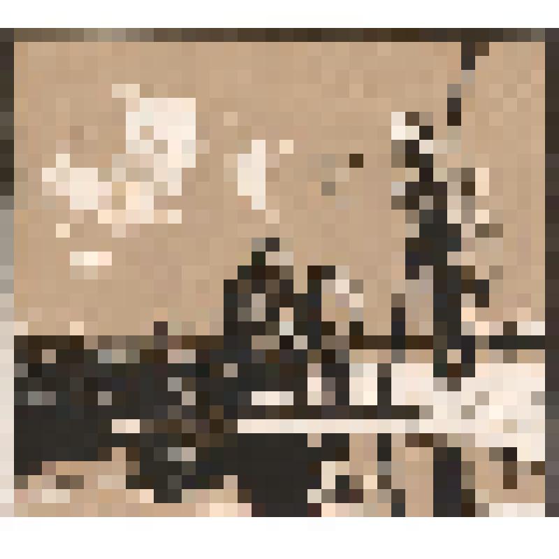 Линогравюра. Тайна. Из серии «Рыбацкое счастье»