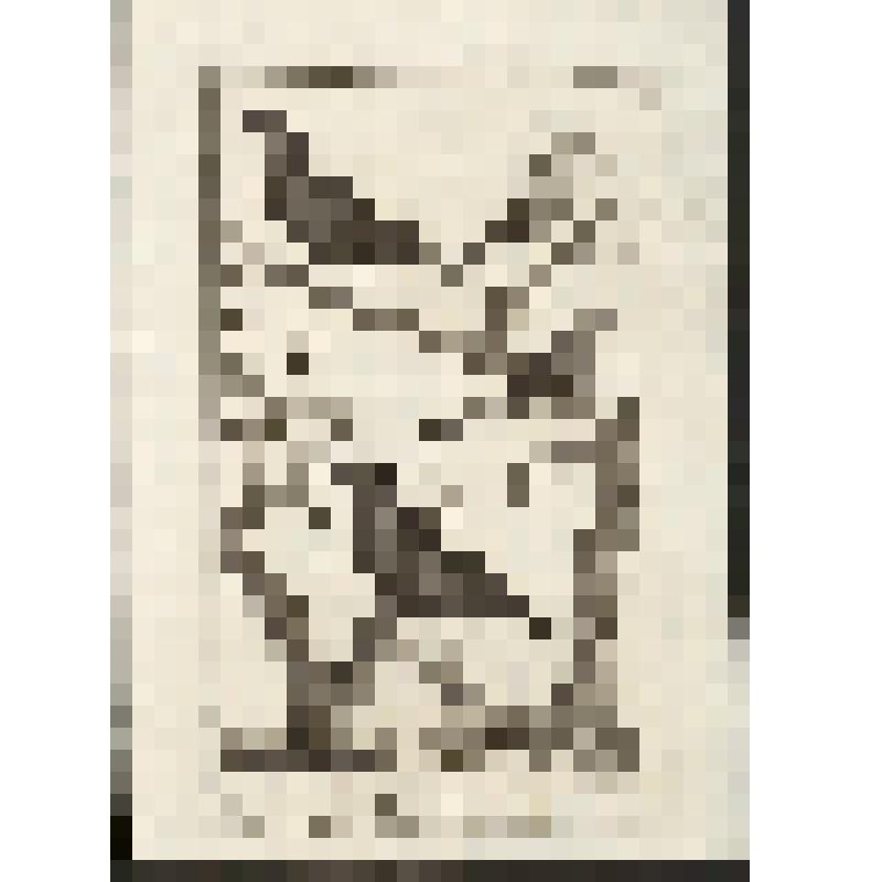 "Histoire Naturelle. Pl. X. Fig. 1. Roller de la Chine. Fig. 2.Cassique Rouge. Fig.3. Le Mainate. Fig.4. Cotinda Bleu de Cayenne. Antonio Baratti sc. Гравюра
