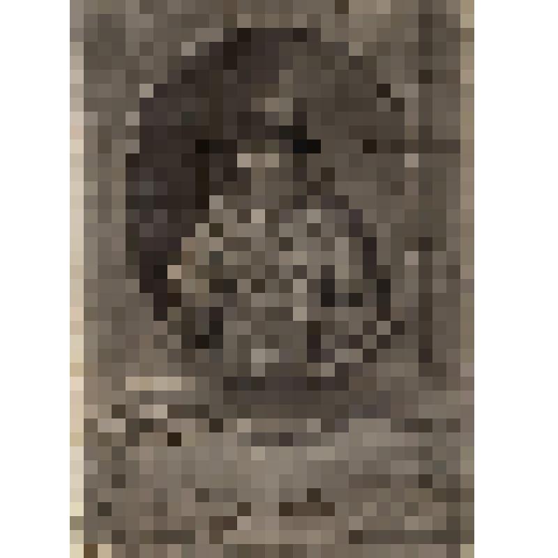 Михаил Федорович - царь и самодержец  Всероссийский (1596-1645). Эстамп