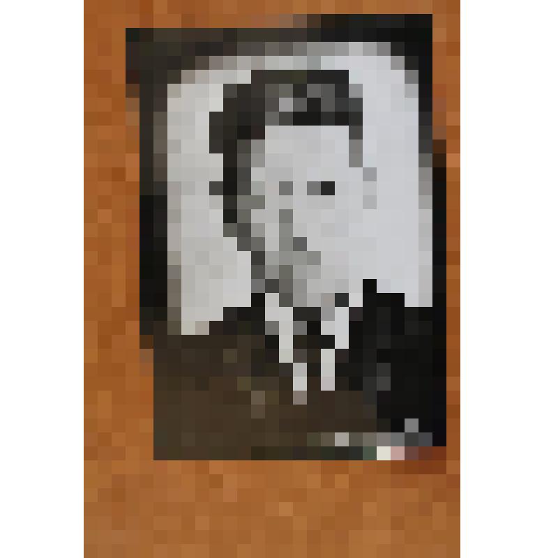 Фотография. Айрат Галеевич Габидовский