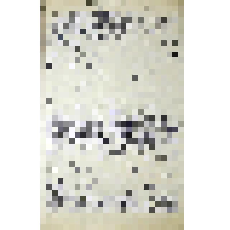 Протокол N12 расширенного заседания правления колхоза им. Ворошилова по вопросу о ходе коллективизаций