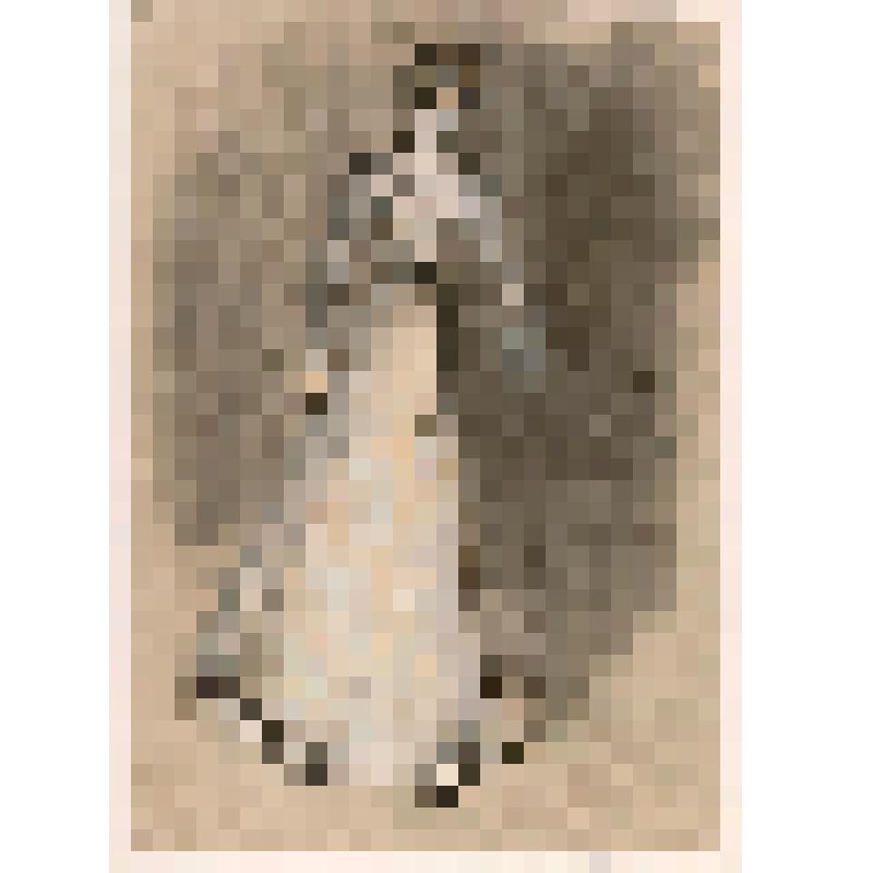 Эскиз костюма. Ирина. "Три сестры" (1965 г. Пост.: Товстоногов Г.А.). Ленинград, Ленинградский Государственный Академический Большой драматический театр имени М.Горького