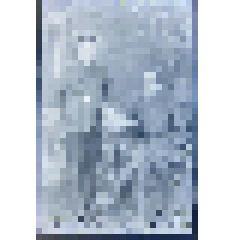 Негатив. Портрет парный секретаря сельсовета и почтового агента