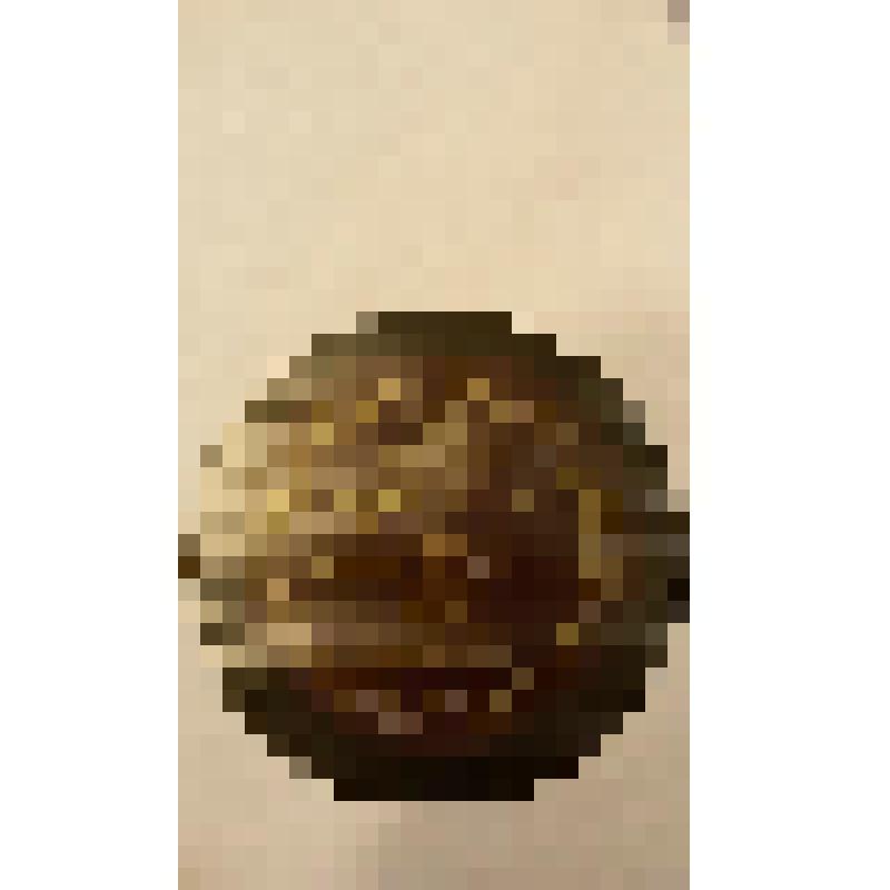 Грампластинка. Пьеса: "Ciribiribin". Исполняет Лукреция Бори. Композитор Йозеф Пастернак; Пьеса: "Il Bacio" (the kiss). Исполняет Лукреция Бори. Композитор Луиджи Ардити;