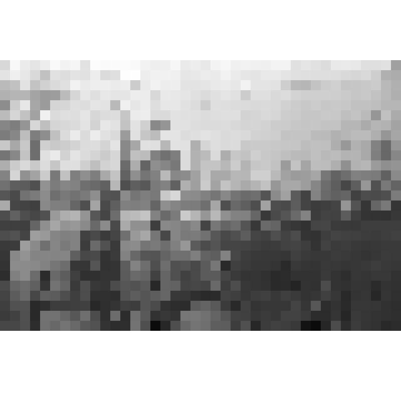 Негатив. Митинг 4 февраля 1943 года в г. Сталинграде. Площадь Павших борцов