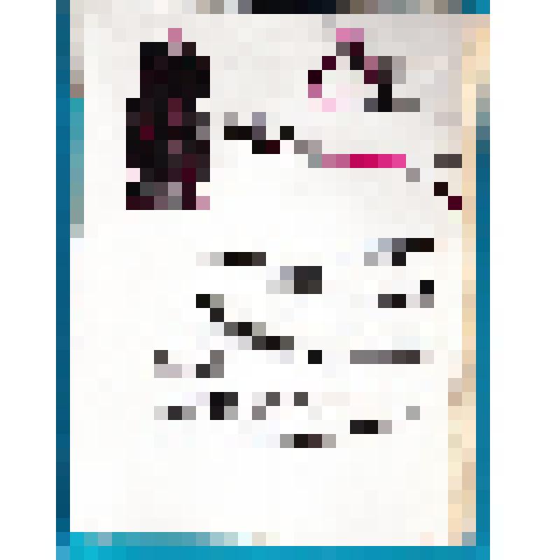 Карта. Боевой путь 100 Львовской стрелковой дивизии в Великой Отечественной войне