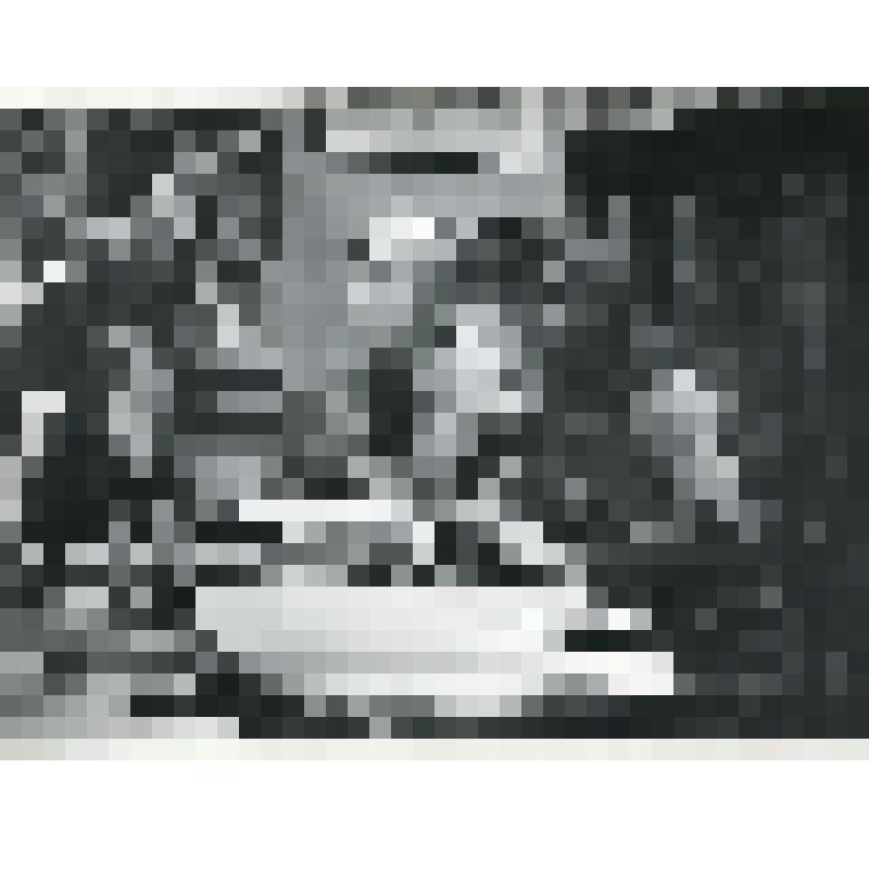 Фотография. Дж. Баланчин и солистка балета Карин фон Арольфенген (Лен. т-р-ный музей)