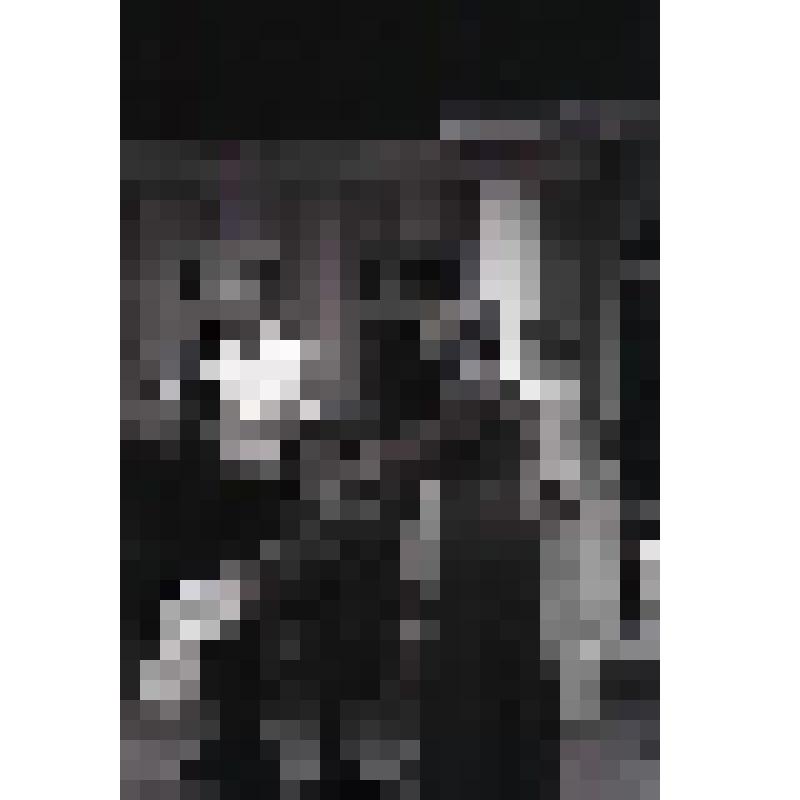 Негатив черно-белый. Вершинин - Любшин С.А.;  Чебутыкин - Невинный В.М.;  Ольга - Барнет О.Б.;  Маша - Майорова Е.В. "Три сестры" (1997 - 2003)