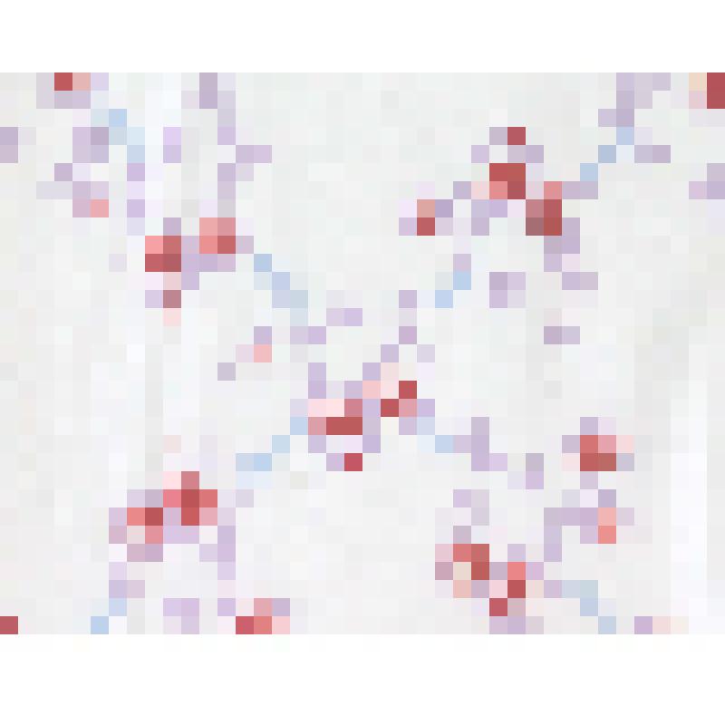 Образец ситца набивного, в альбоме