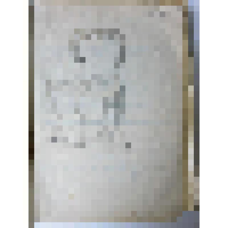 Альбом с проектными чертежами, с эскизами, зарисовками архитектурных памятников и деталей, произведений скульптуры и декоративно-прикладного искусства, пейзажными зарисовками, тематическими рисунками исторического жанра и по мотивам воспоминаний детства и