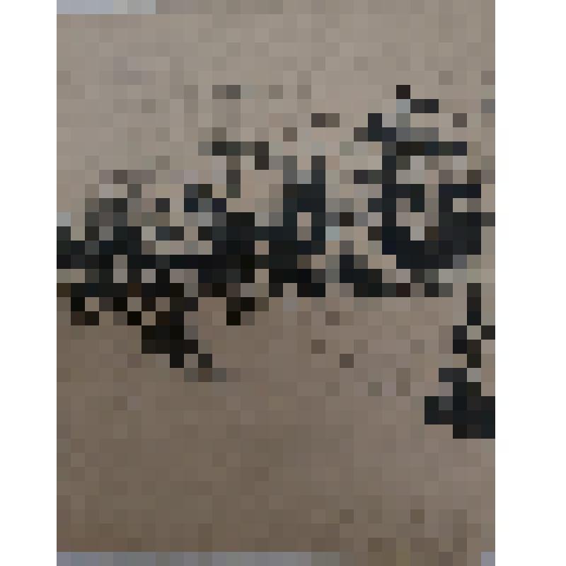 Иллюстрации к рассказу "Маленький друг" (автор произведения неизвестен)