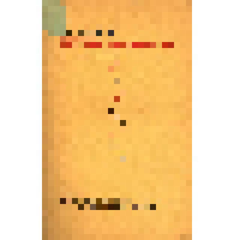 Книга. «Letzte Lockerung. Manifest DADA». Hannover: Paul Steegemann Verlag,1920