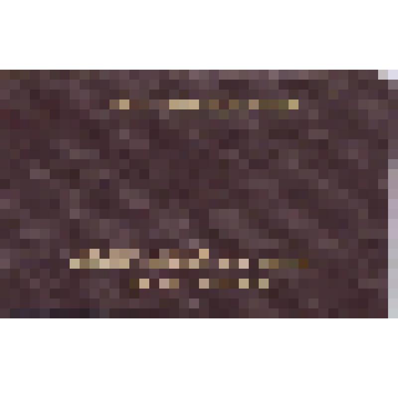 Билет членский № 1307 АН СССР Ленинградского Дома ученых им. А. Горького Луппова П.Н