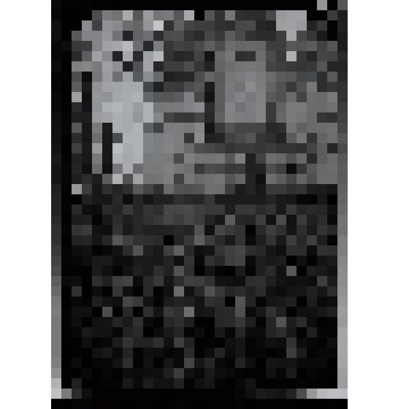 Негатив. Церковь Иоанна Предтечи. Село Дьяковское