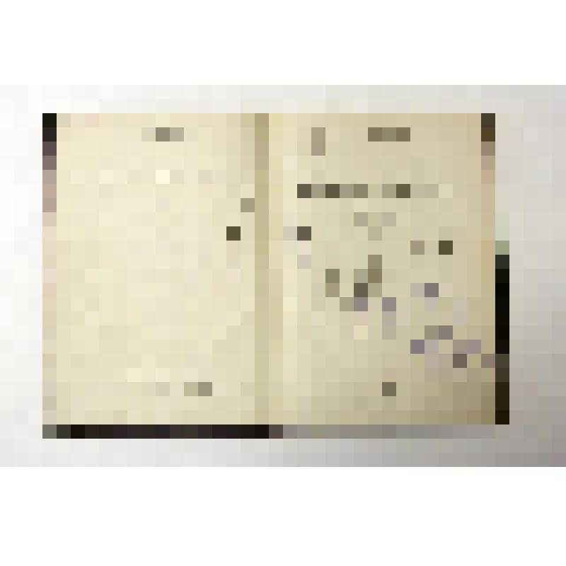 Книга. Писатель-гражданин. Гоголь. СПб., 1913