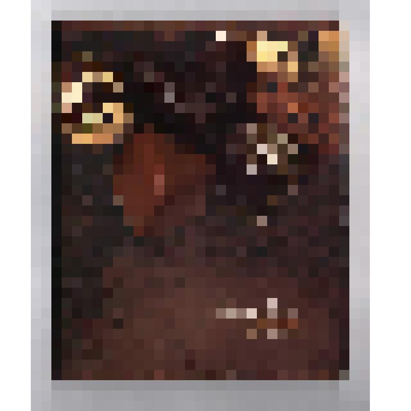 Дневник Дьяконова Геннадия Петровича с личными записями ежедневных дел, важных событий и наблюдений за погодой с 16.06.2012 г. по 04.06.2013 г