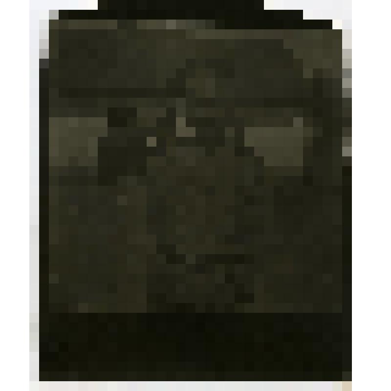 Фото. Денщик