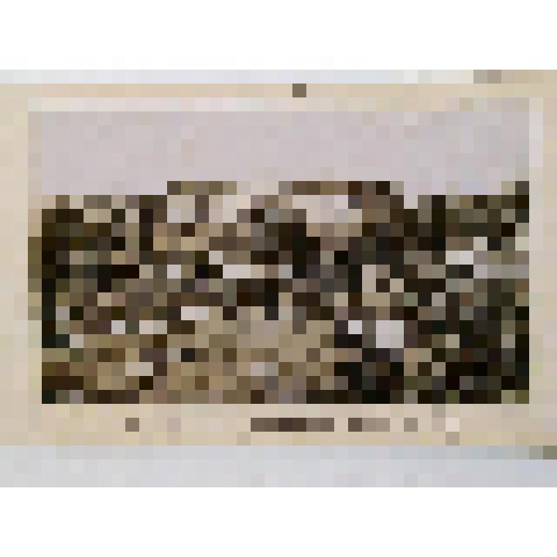 Университет. Ул. Владимирская, 60. 1837-1843 гг. Реставр. 1946-1952 гг. Киев. Университет св. Владимира. Основан в 1833 г. из альбома. Беретти В. И. Общий вид здания с бульвара.. Издатель не указан