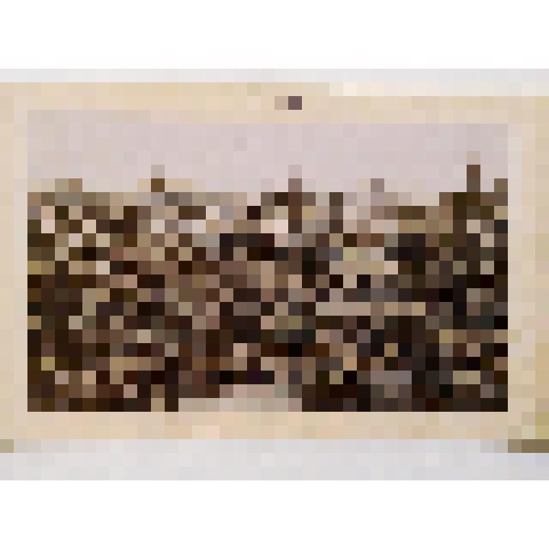 г. Киев. Вид на старый Киев. из альбома. Издатель не указан