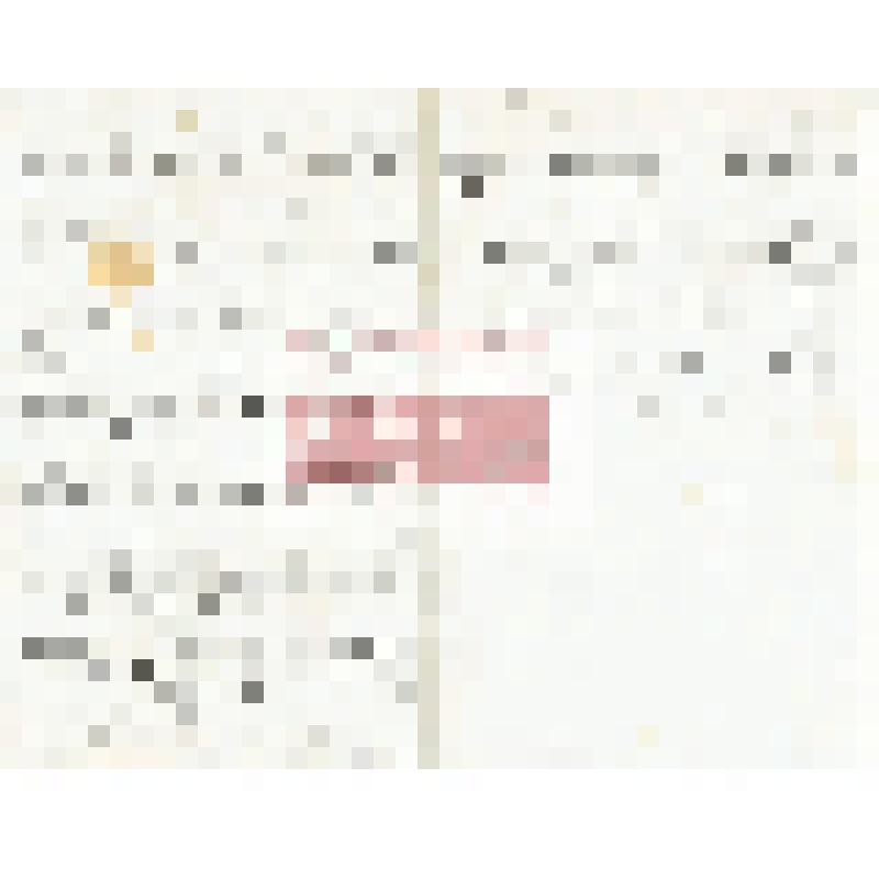 Письмо Н. Ивановского Мартьянову с уведомлением об отправке образцов пород взятых на реке Бее