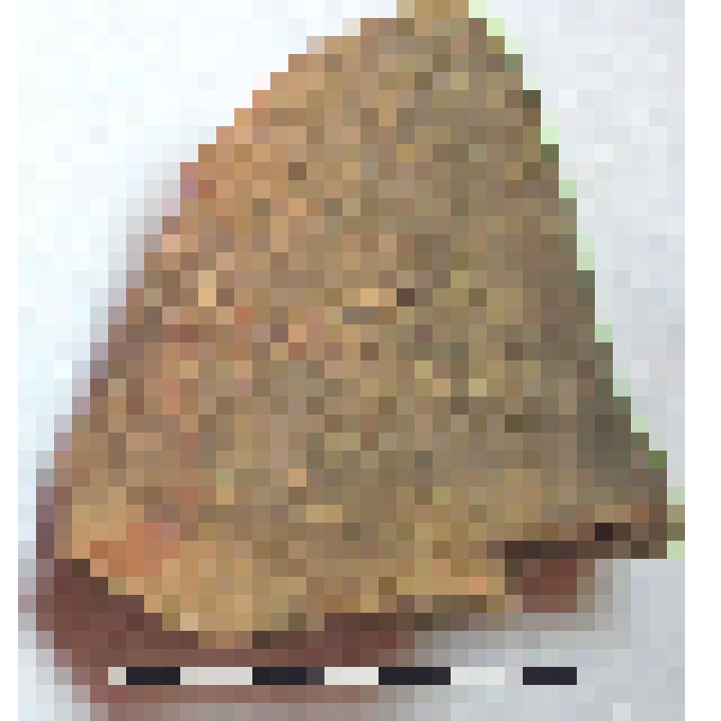 Фрагмент нижней части горла амфоры типа D с дипинти