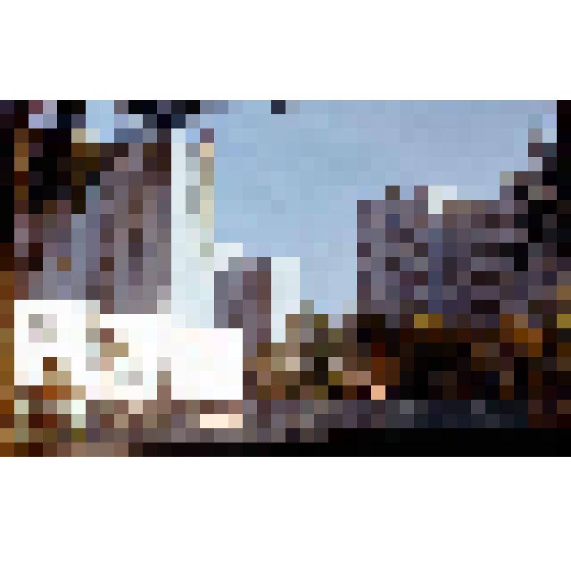 Диапозитив. (386)