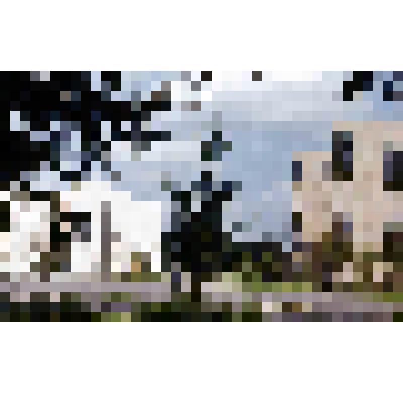 Диапозитив. Кинотеатр "Эра". (318)