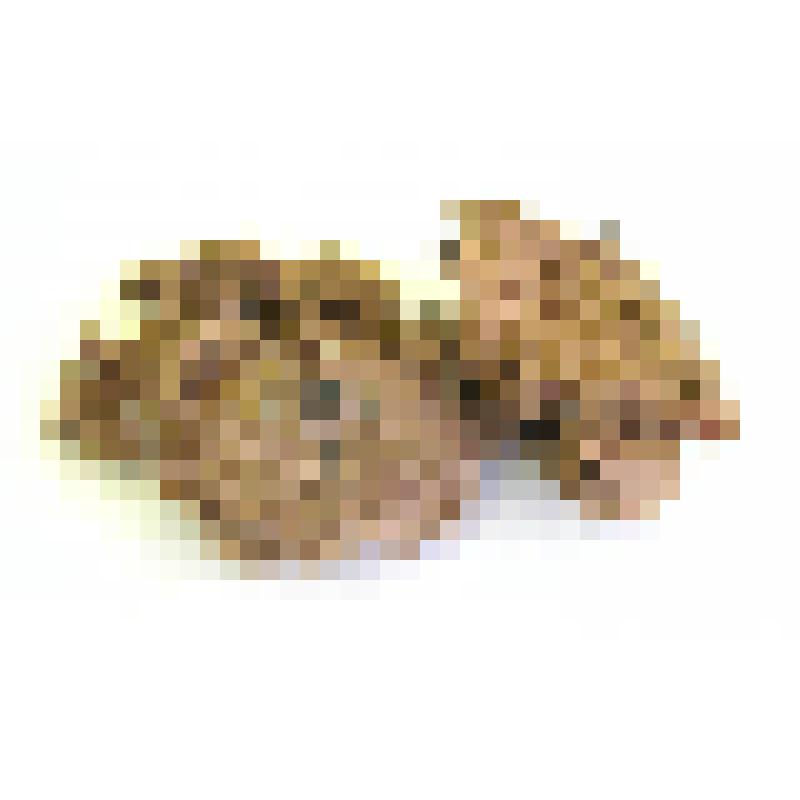 Образец  массы бумажной