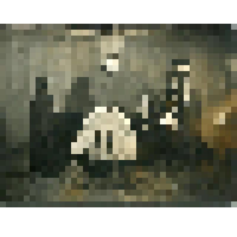 Фотография. Барановская В.В. в роли Матери в к/ф "Мать" по Горькому. Рост, фас. Сидит возле покойника. В углу икона. В комнате еще две женщины