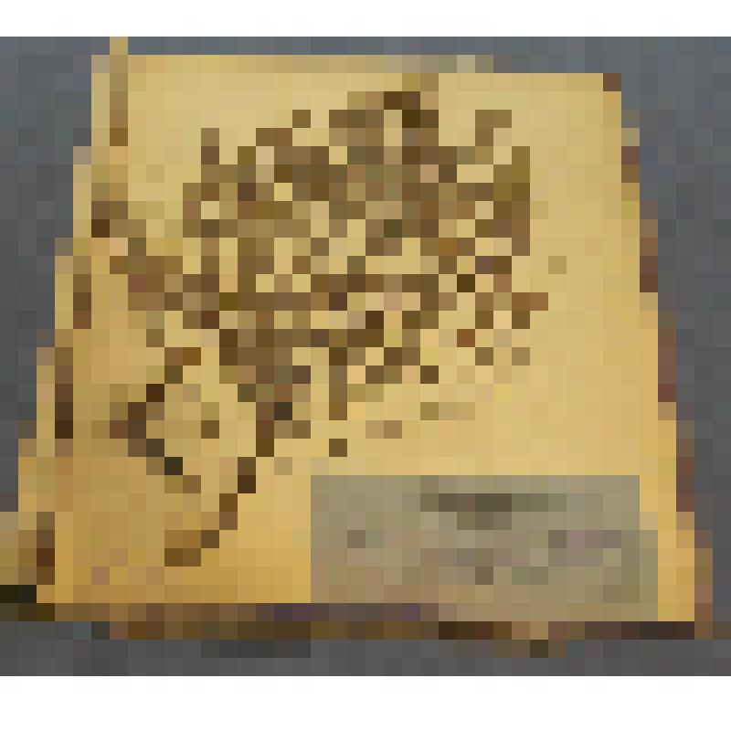 Ботаническая коллекция. Полынь Сиверса, семейство сложноцветные, на гербарном листе, на полпути из села Аскиз на шахты по обочине дороги. Composi tae Artenusia sieversiana wild