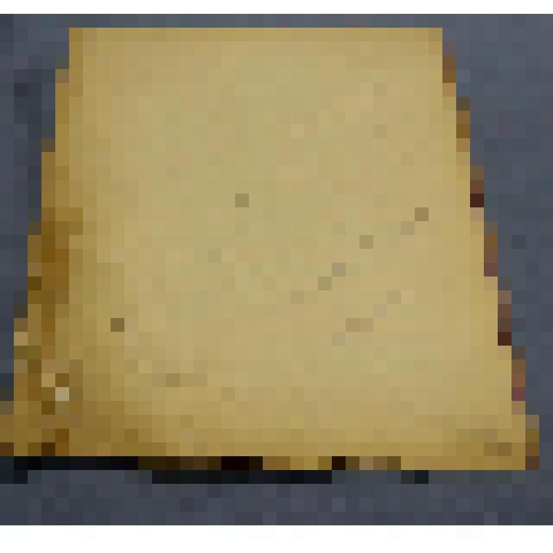 Ботаническая коллекция. Полынь Сиверса, семейство сложноцветные, на гербарном листе, на полпути из села Аскиз на шахты по обочине дороги. Composi tae Artenusia sieversiana wild