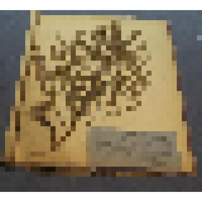 Ботаническая коллекция. Полынь Сиверса, семейство сложноцветные, на гербарном листе, на полпути из села Аскиз на шахты по обочине дороги. Composi tae Artenusia sieversiana wild