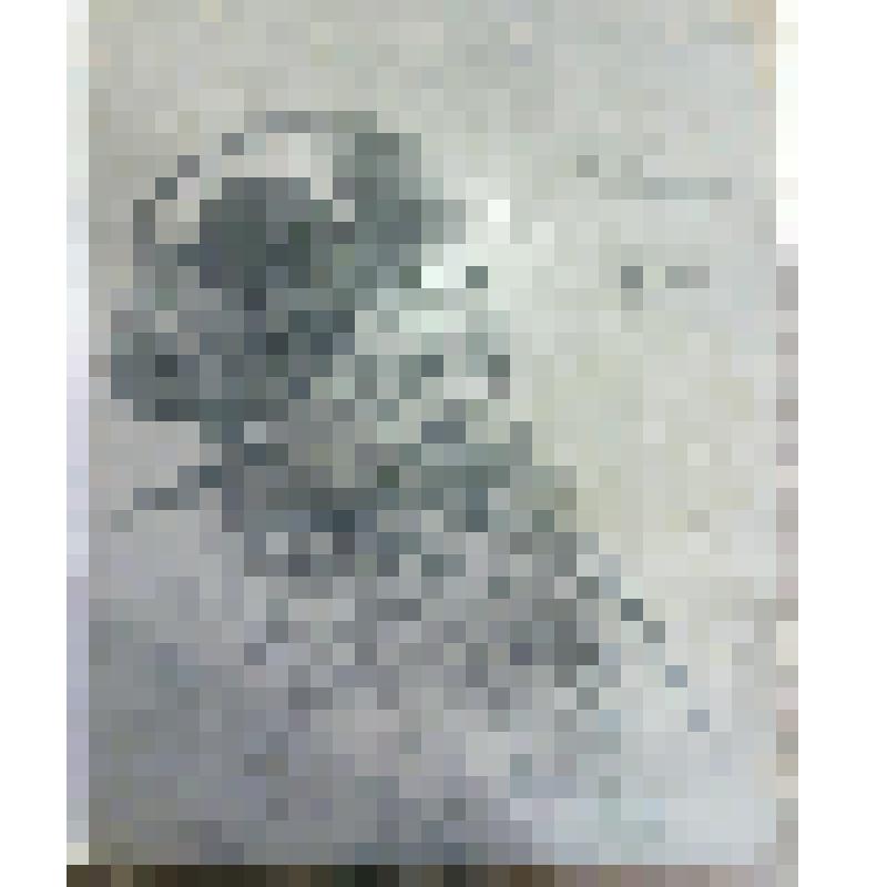 Эскиз мужского костюма. Воевода Палкан.
С.И. Иванов оформлял 1 и 3 акт этого спектакля. 2 акт - М.С. Сарьян. "Золотой петушок". Москва, Государственный оперный театр имени К. С. Станиславского