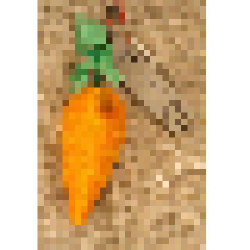 Игрушка елочная «Морковь», из коллекции елочных игрушек и украшений