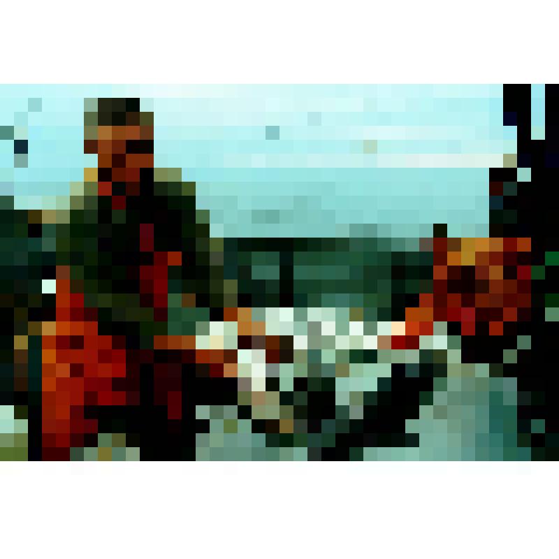 Лов рыбы в Черном море. Рыбколхоз "Социалистический путь"