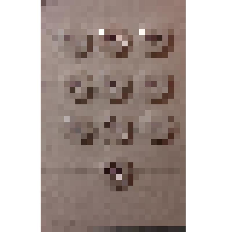 Набор пуговиц (10 шт.)