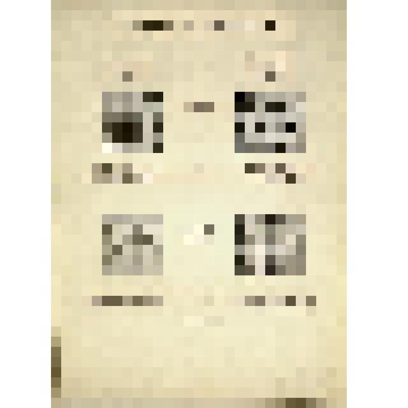 Таблица с четырьмя образцами вышивки. Из альбома «Образцы ручной и машинной вышивки»