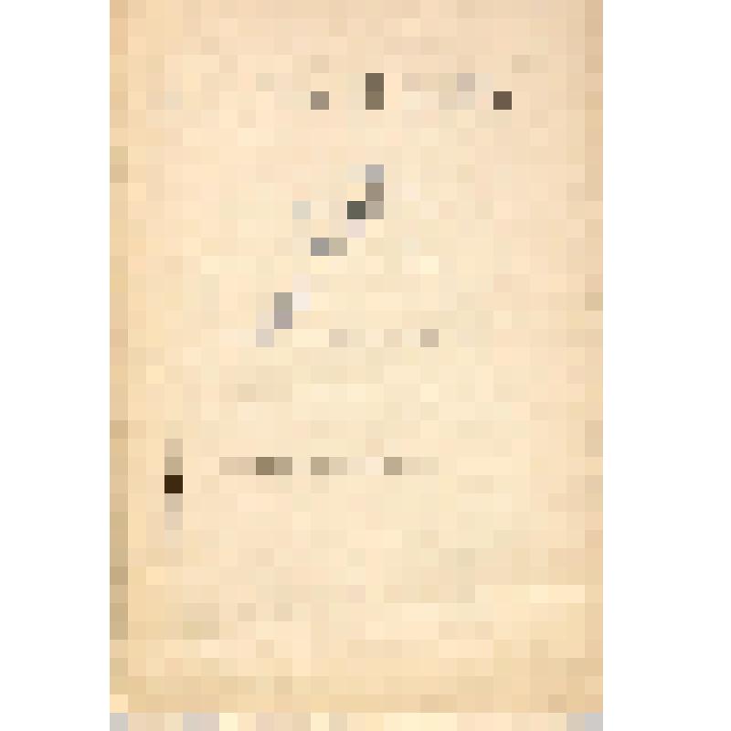 книга. Антон Чехов: этюд виконта Е.М. де Вогюэ