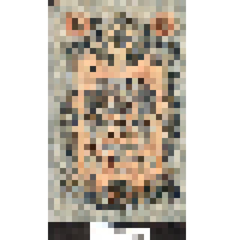 Государственный кредитный билет "5 рублей"  обр. 1909г. РСФСР