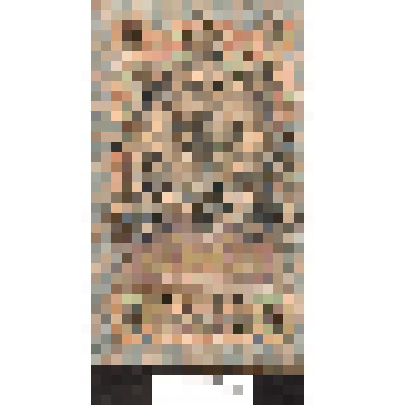 Государственный кредитный билет "5 рублей"  обр. 1909г. РСФСР