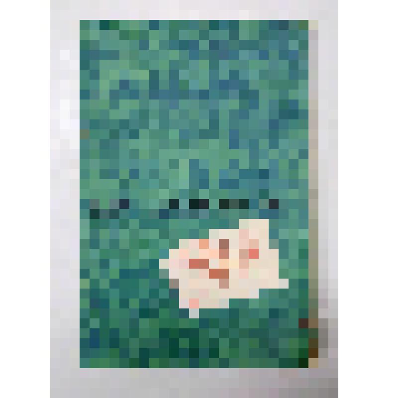 Книга. Письма к сыну. – Москва: Просвещение, 1979