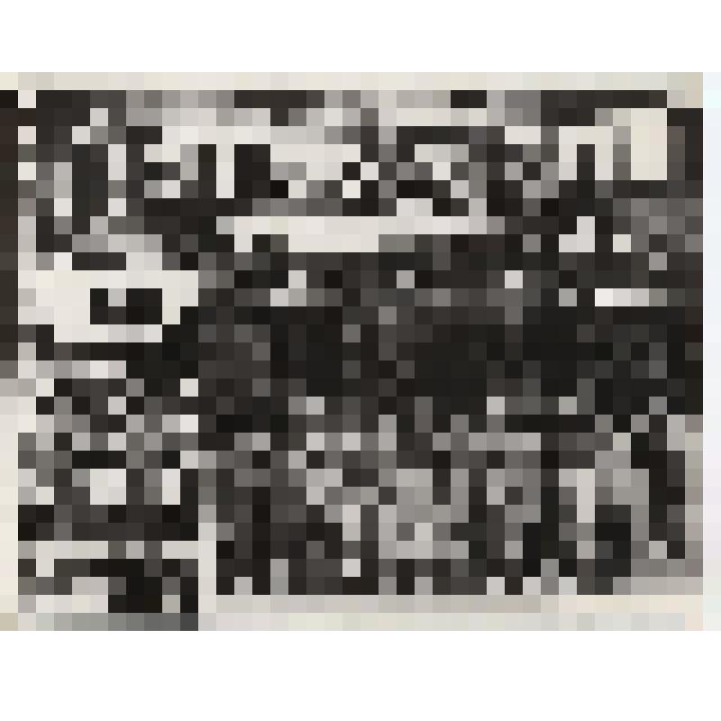 Фотография. Гребенщикова Анна Васильевна в группе ветеранов Великой Отечественнорй войны в Минске (Хатынь)