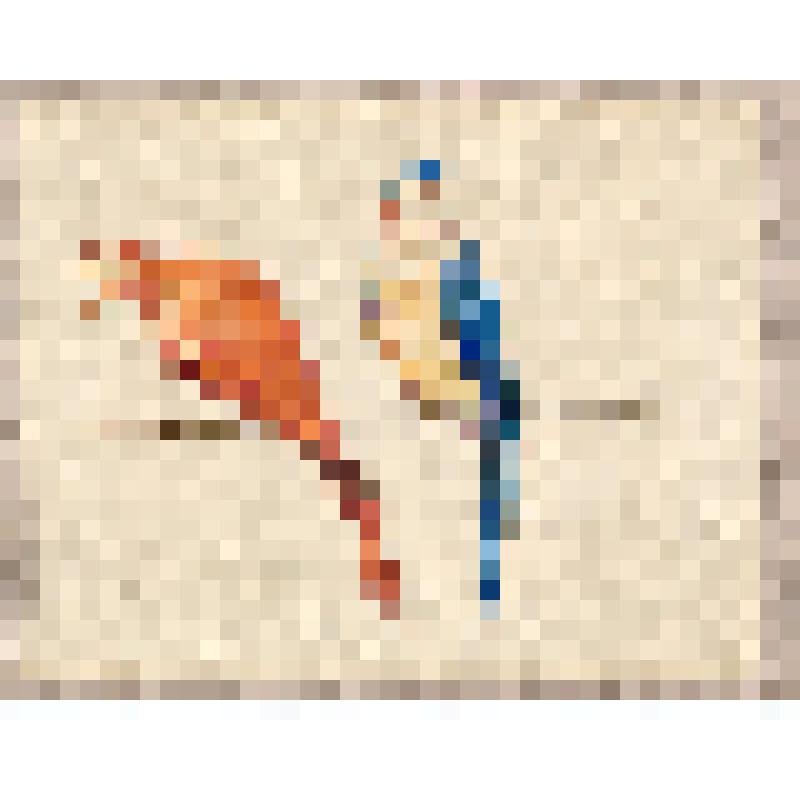 Попугаи, из альбома  «190 пейзажей; зарисовки, иллюстрации, карикатуры»